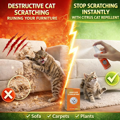 Cat Deterrent Spray for Indoor and Outdoor Use, Furniture Protection and Anti-Marking Solution for Sofas and Carpets, Made with Natural Ingredients (100 ml x 2)