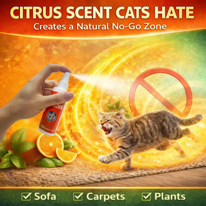 Cat Deterrent Spray for Indoor and Outdoor Use, Furniture Protection and Anti-Marking Solution for Sofas and Carpets, Made with Natural Ingredients (100 ml x 2)