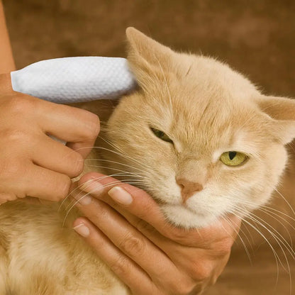 Bellepaws Pet Finger Cleaning Wipes - 60 Count | Chamomile, Honey & Aloe Infused | Gentle Multi-Purpose Wipes for Ears, Teeth & Paws | Deodorizing & Moisturizing Grooming Solution
