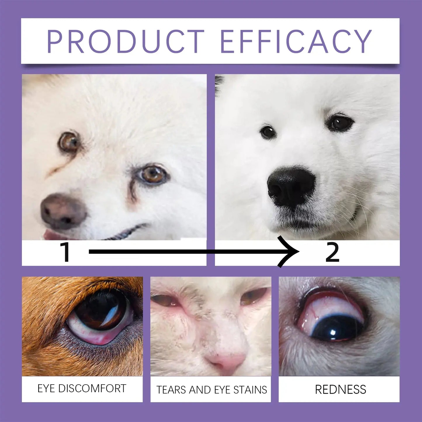 Veterinary Eye Drops and Infection Treatment for Dogs and Cats - Alleviate Infections, Allergies, Dry Eyes, and Pink Eye; Tear Stain Cleaner and Eye Rinse for Kittens