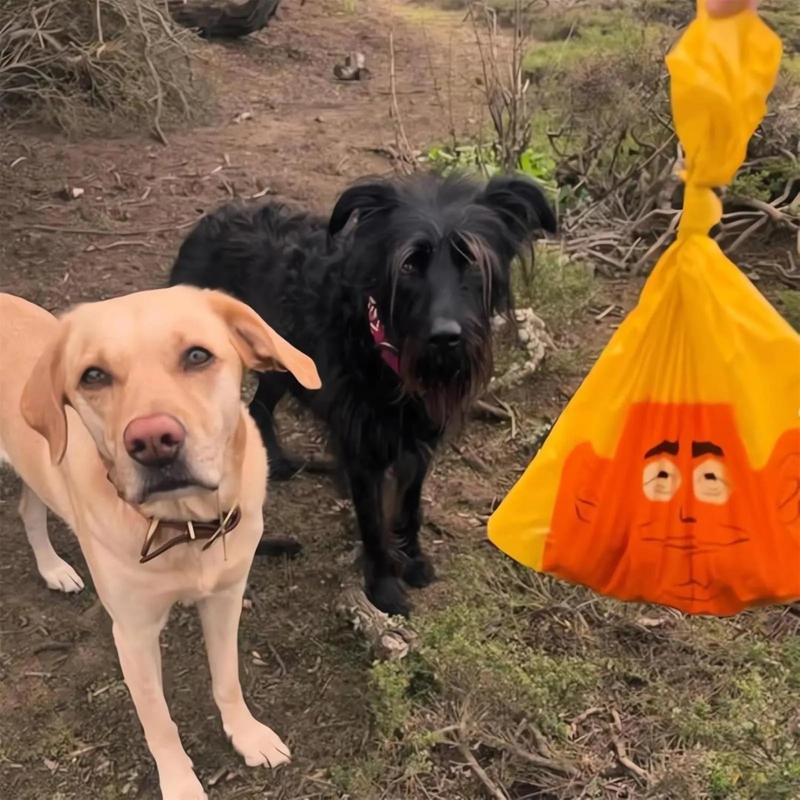 Humorous Dog Waste Bags - 60 Count Rolls, Novelty Pet Waste Disposal Bags, Loose Roll Packaging