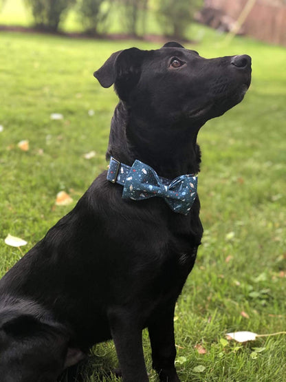 Adjustable Cotton and Webbing Bowtie Collar for Dogs and Cats of All Sizes