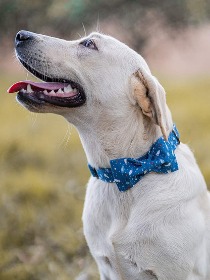 Adjustable Cotton and Webbing Bowtie Collar for Dogs and Cats of All Sizes