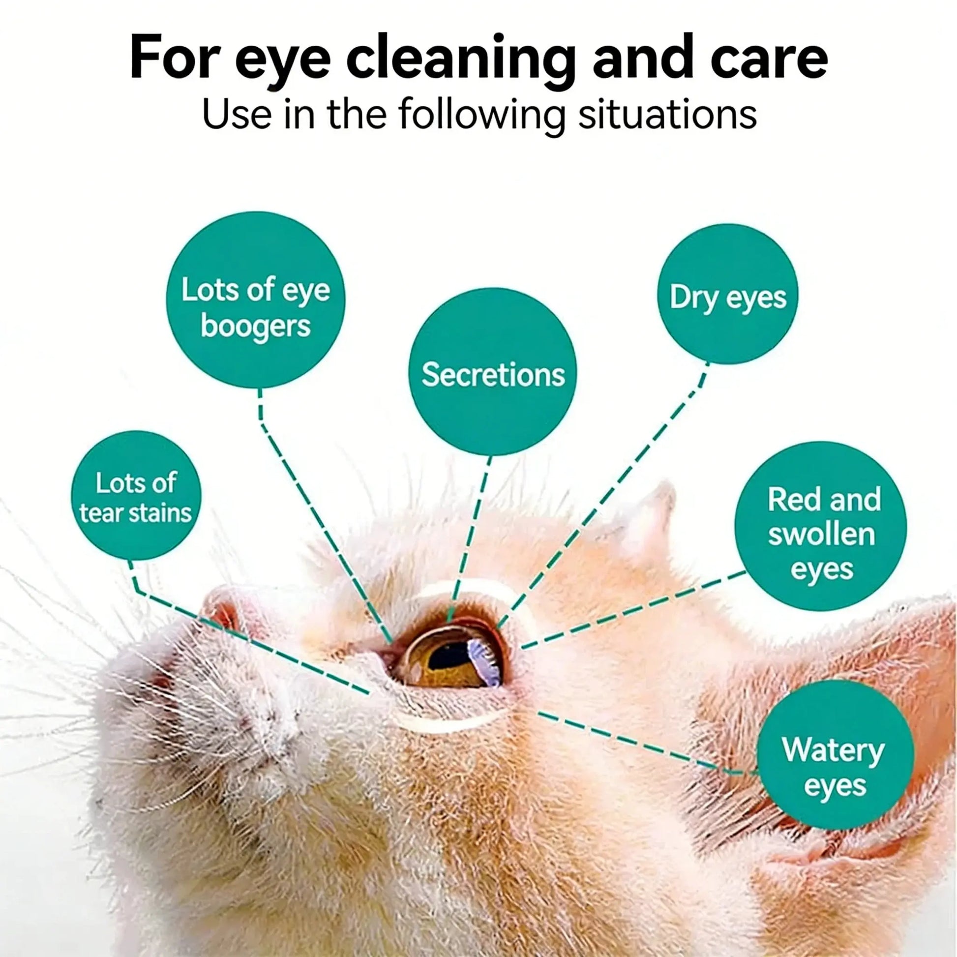 Veterinary Eye Drops and Infection Treatment for Dogs and Cats - Alleviate Infections, Allergies, Dry Eyes, and Pink Eye; Tear Stain Cleaner and Eye Rinse for Kittens